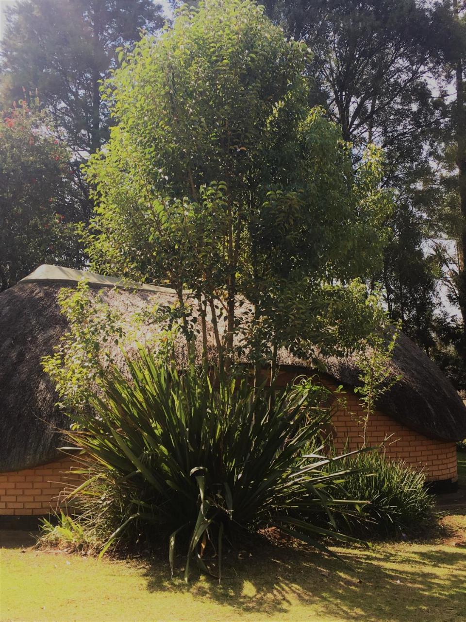 Summit Lodge Graskop Exterior photo